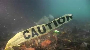 Plastic Pollution, Our Oceans, Our Future