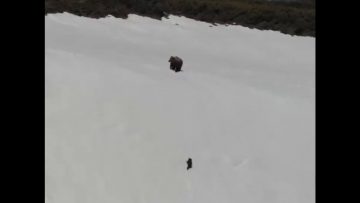 Life Skills Training