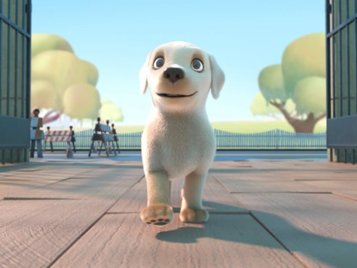 Pip